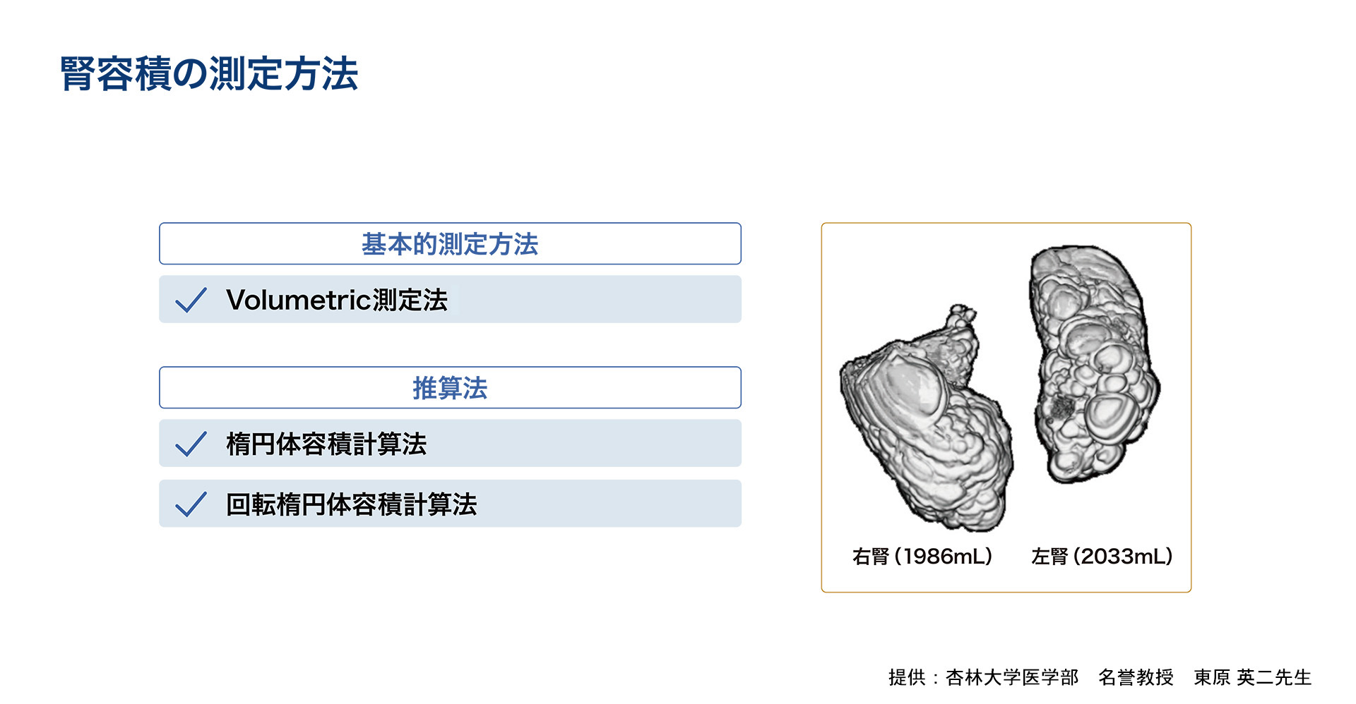 腎容積の測定方法