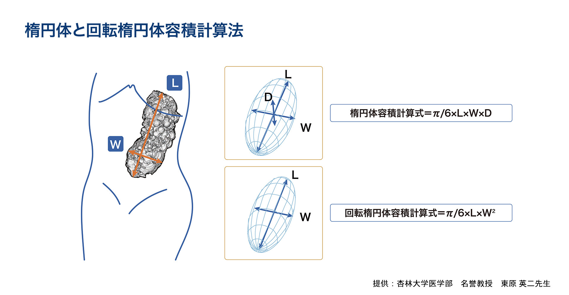 楕円体と回転楕円体容積計算方法