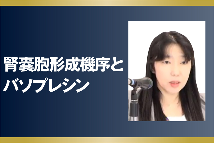 腎嚢胞形成機序とバソプレシン