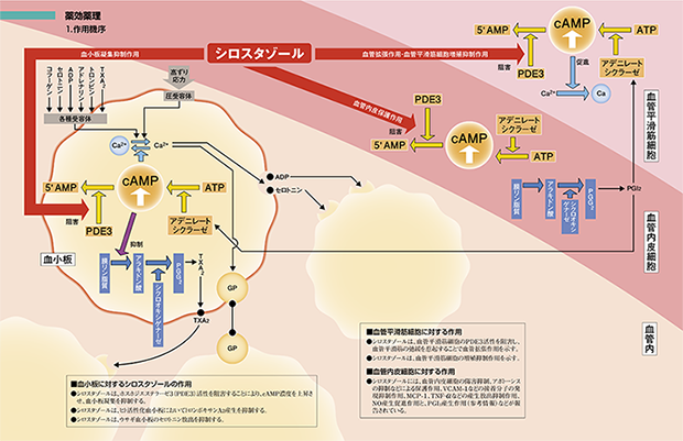プレタール散20 大塚製薬 医療関係者向け情報サイト