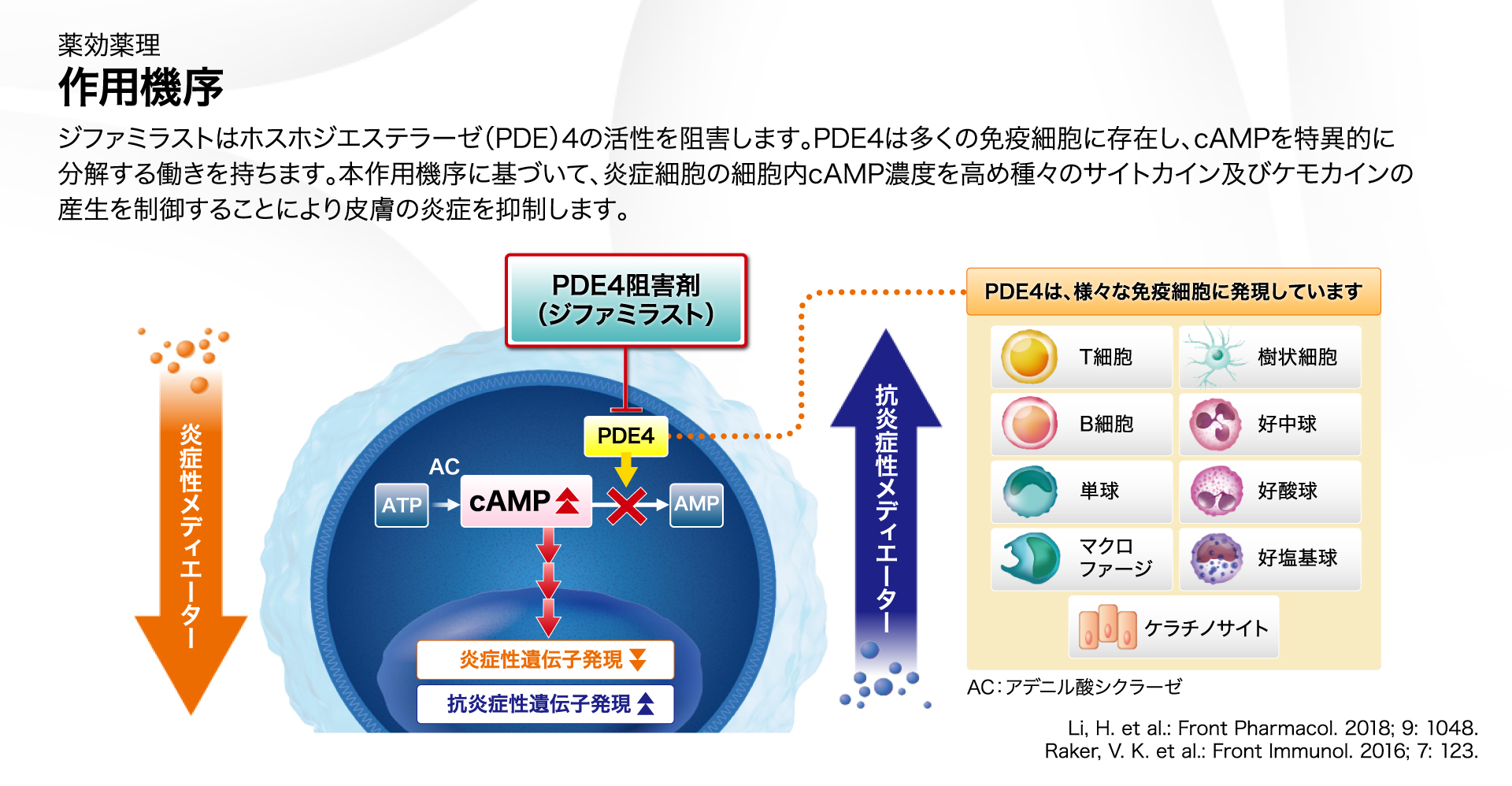 モイゼルト軟膏 / Moizerto ointment 製品情報 | 大塚製薬 医療